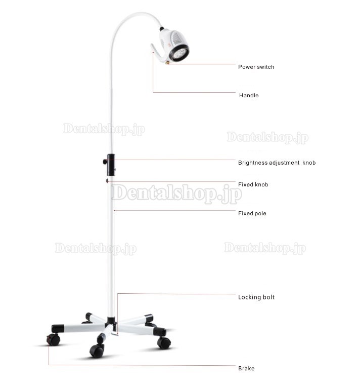 KWS 20W ENT LED 検査ライト KD-202B-8